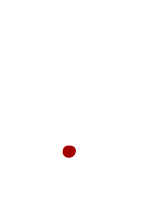 Борислав Дончев лого